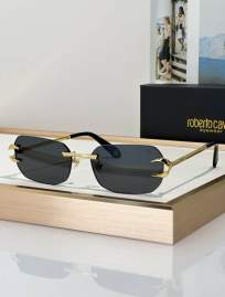 Picture of Roberto Cavalli Sunglasses _SKUfw79280018fw